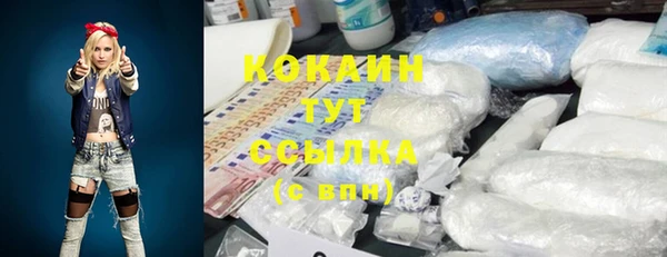 хмурый Липки