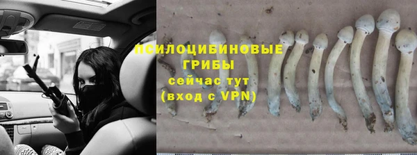 хмурый Липки