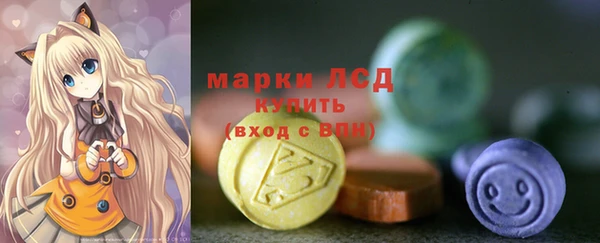 хмурый Липки