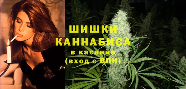 хмурый Липки
