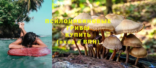 хмурый Липки