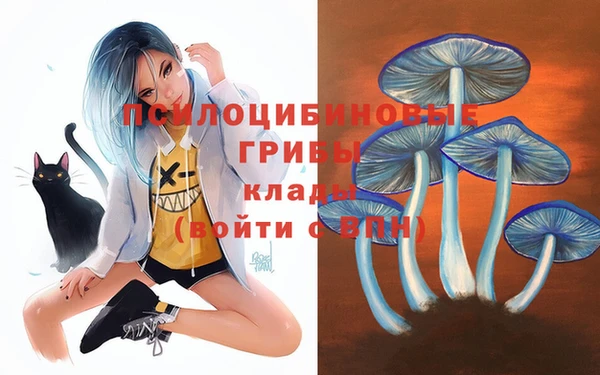 хмурый Липки