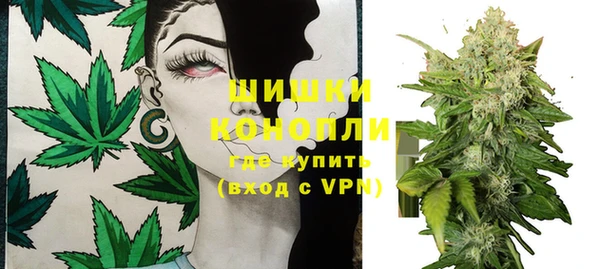 прущие грибы Лиски