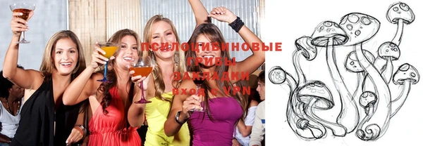 прущие грибы Лиски