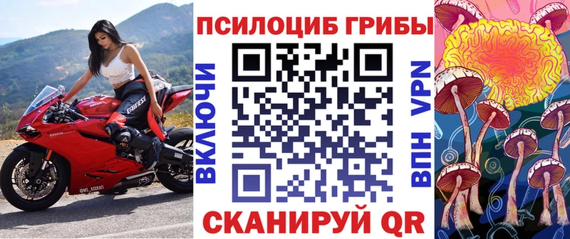 Купить закладки  Калачинск  Псилоцибиновые грибы мухоморы 
